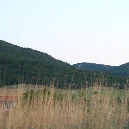 Bahceli