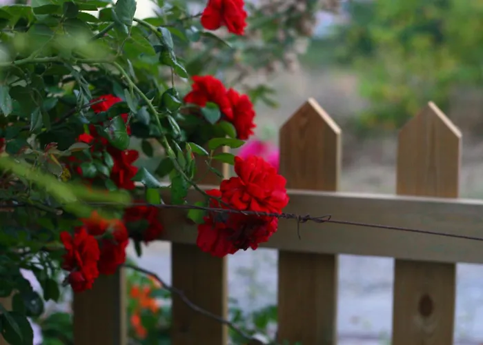 Hotel Bahceli Eceabat